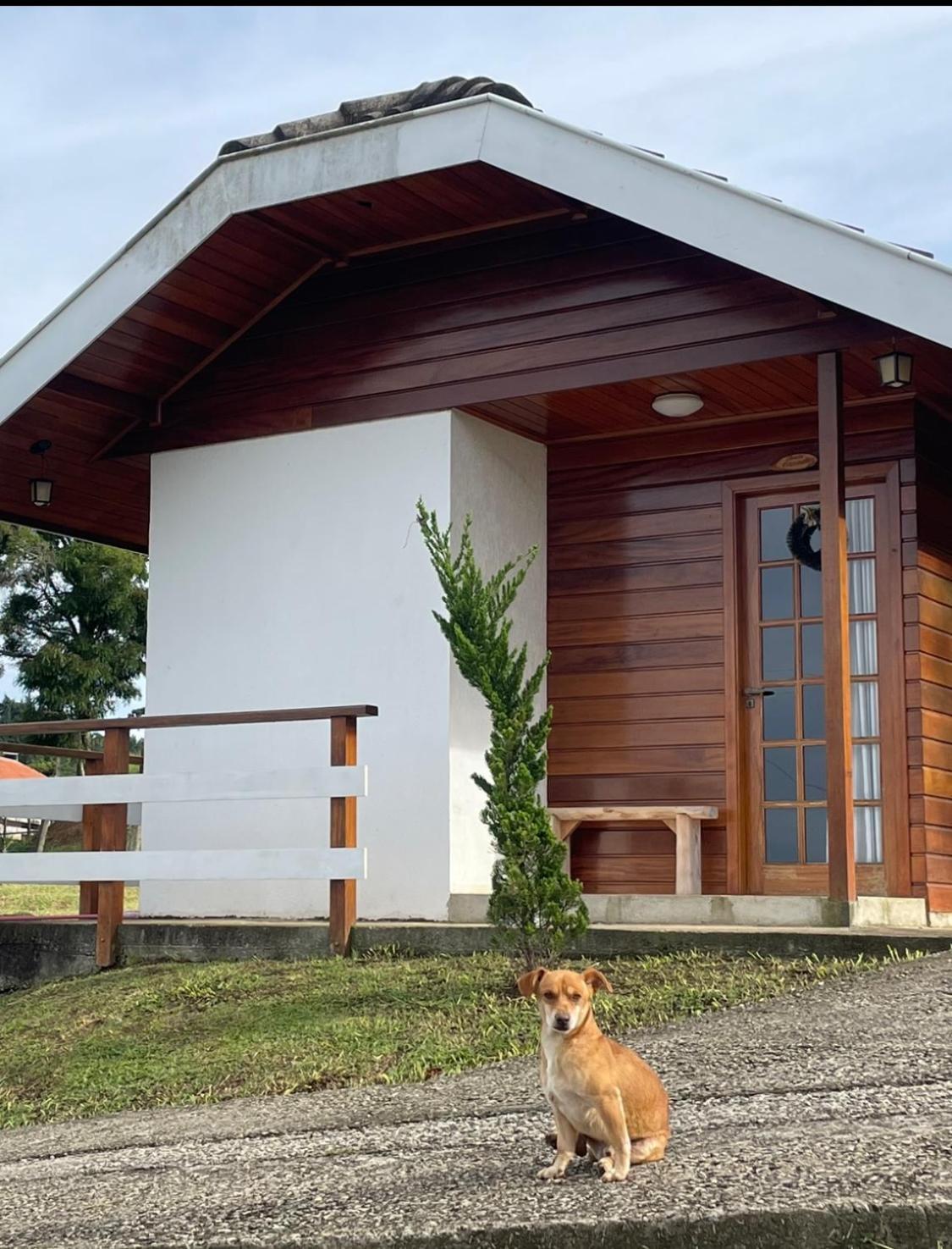 Chale Amanhecer Hotell Santo Antônio do Pinhal Exteriör bild